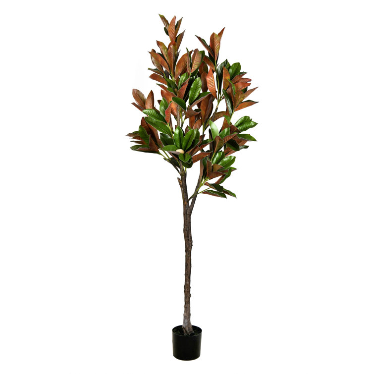 Gracie Oaks Artificial Magnolia Tree in Pot Wayfair